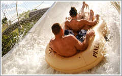 Disney World Typhoon Lagoon Water Park Attractions